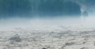 Screenshot 2025-07-02 115225