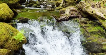 Untitled-design-2025-03-09T123259.890