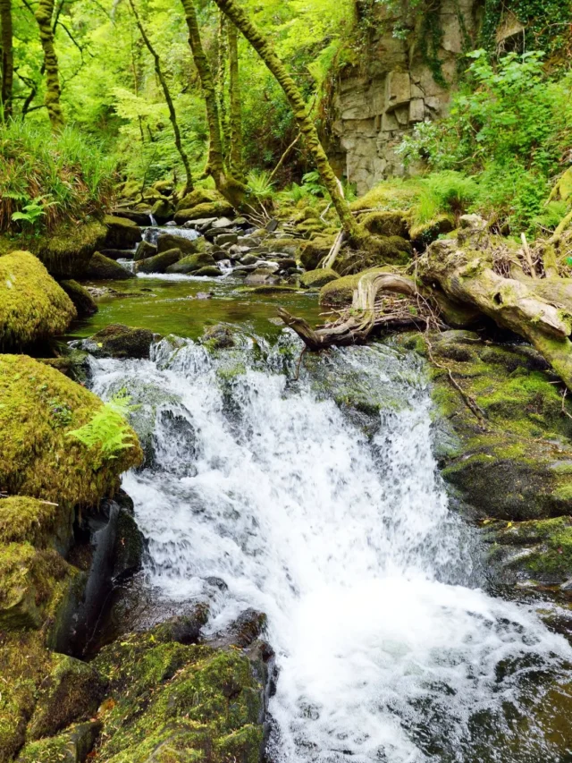 Must-Visit Waterfalls To Explore In Karnataka