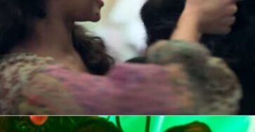 Untitled design - 2025-07-07T164401.762